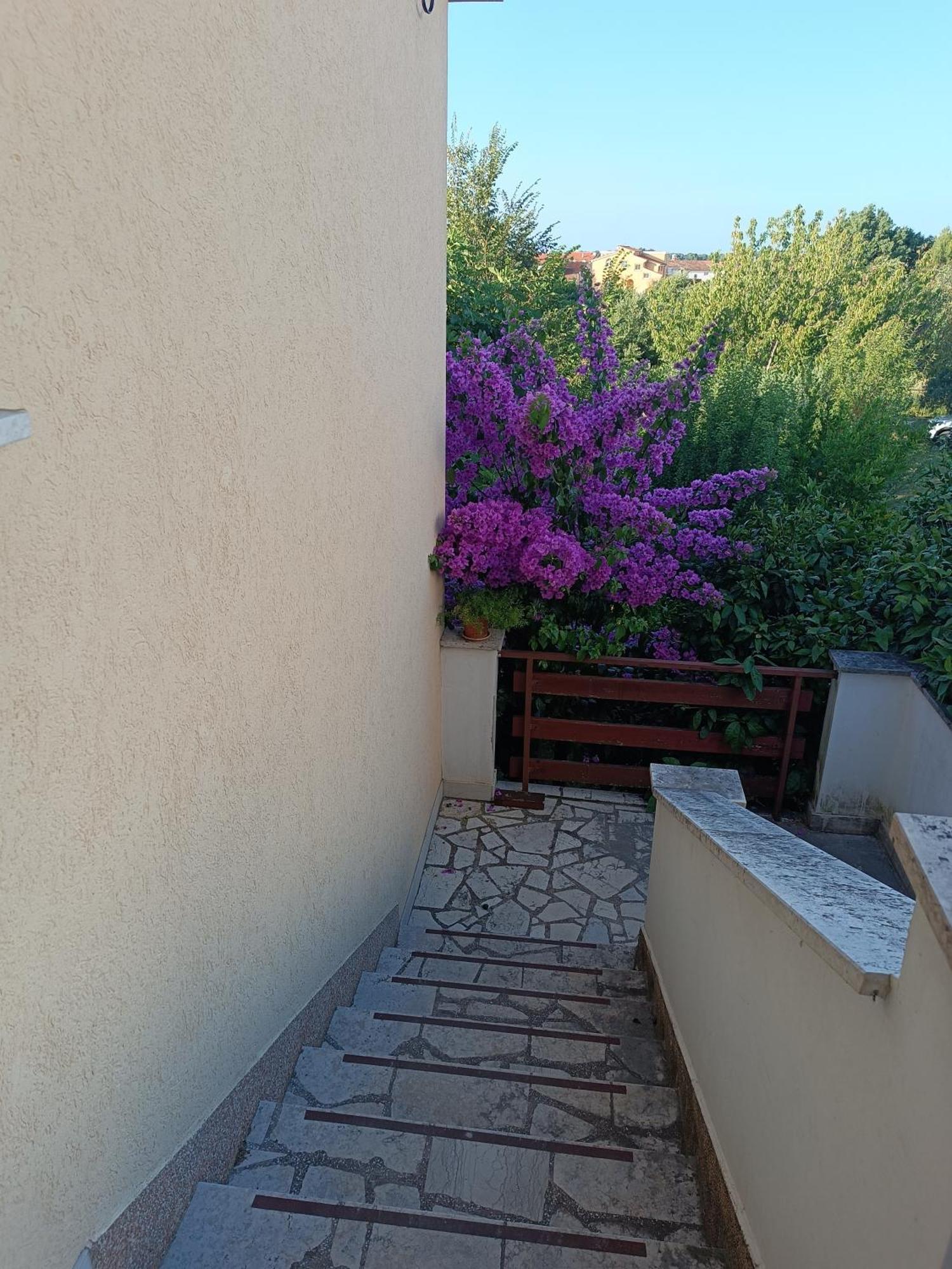Apartmani Sole Medulin 2023 Extérieur photo